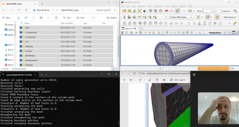 I got fed-up manually generating and viewing the resulting mesh.